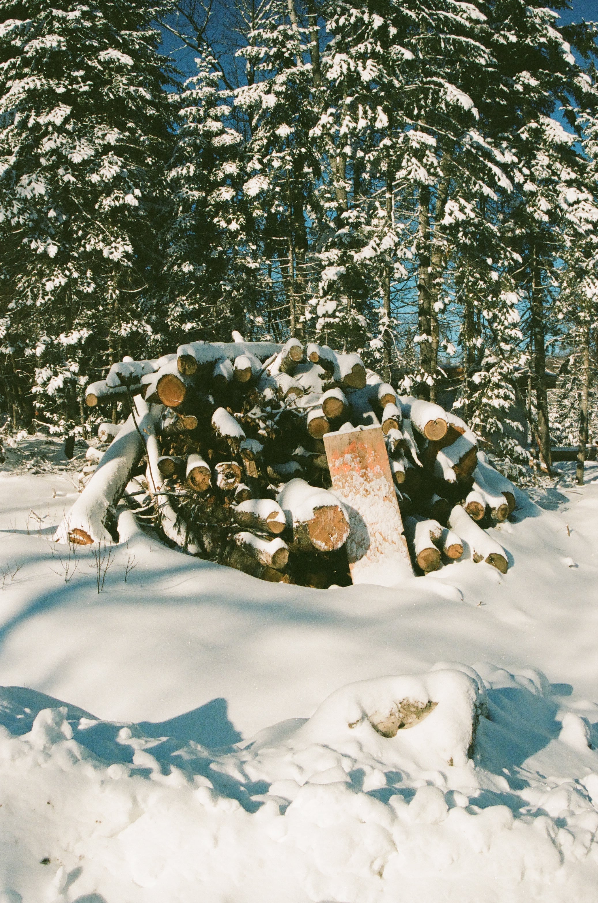 Circles in the Snow